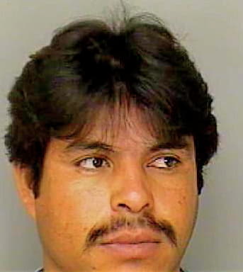 Gonzalez Pedro - Polk County, FL 