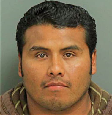 Cerrito Reynaldo - Wake County, NC 