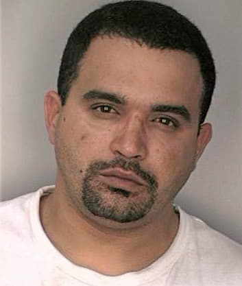 Soler Richard - Hillsborough County, FL 
