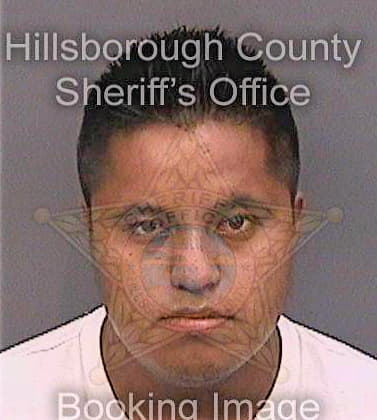 Cruz Alexis - Hillsborough County, FL 