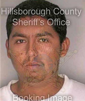 Grimaldo Arturo - Hillsborough County, FL 