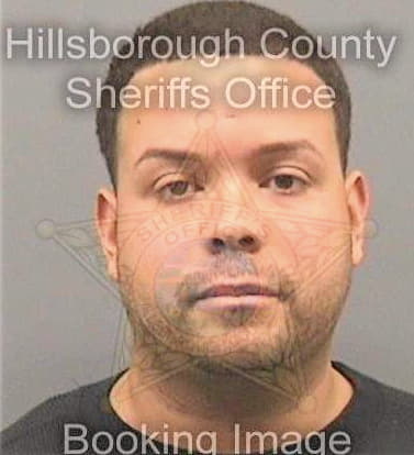 Bermudez Harold - Hillsborough County, FL 