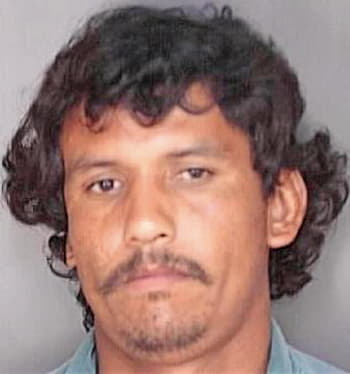 Torres Richardo - Polk County, FL 