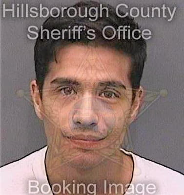 Bergez Ryan - Hillsborough County, FL 