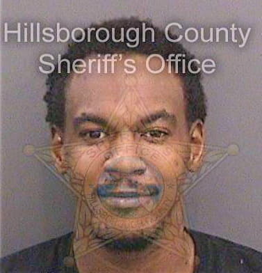 Dunston Dominic - Hillsborough County, FL 