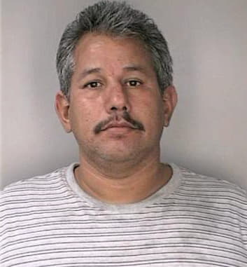Sanchez Ricardo - Hillsborough County, FL 
