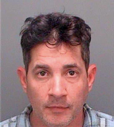 Signorelli Todd - Pinellas County, FL 