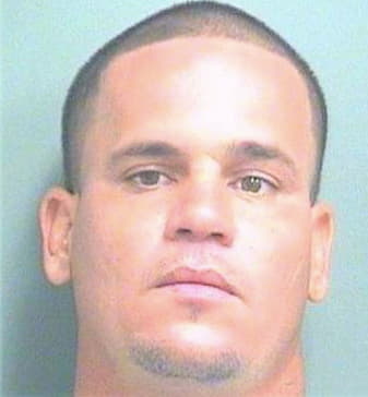 Arnett Camilo - PalmBeach County, FL 