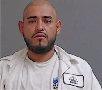 Guerra Nelson - Hidalgo County, TX 