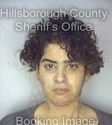 Perez Raquel - Hillsborough County, FL 