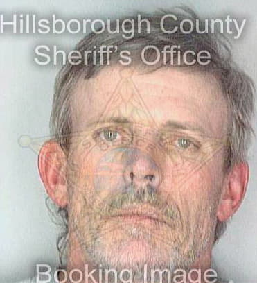 Sullivan Ronald - Hillsborough County, FL 