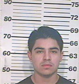 Vasquez Abraham - Hidalgo County, TX 