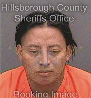 Pinedaperez Abrahan - Hillsborough County, FL 