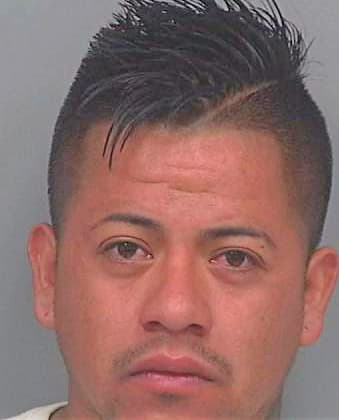 Perez-Gonzalez David - Gwinnett County, GA 