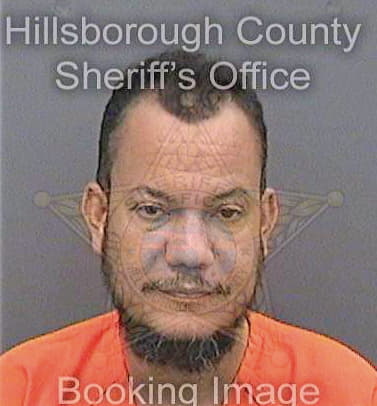 Gonzalez Domingo - Hillsborough County, FL 