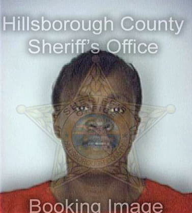 Sinclair Louise - Hillsborough County, FL 