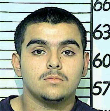 Regalado Alex - Comal County, TX 