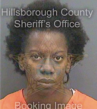 Johnson Chandra - Hillsborough County, FL 