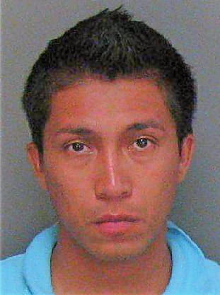 Moreno Luis - Florence County, SC 