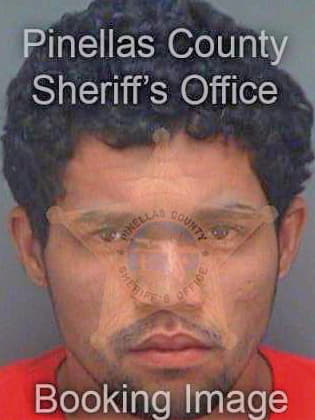 Borjas Marvin - Pinellas County, FL 