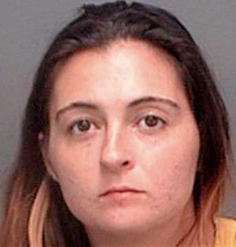 Silvestro Anna - Pinellas County, FL 