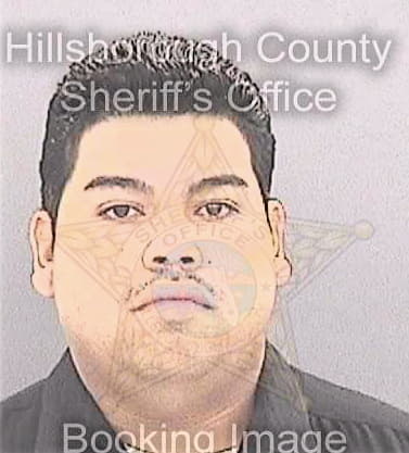 Palomares Jesus - Hillsborough County, FL 