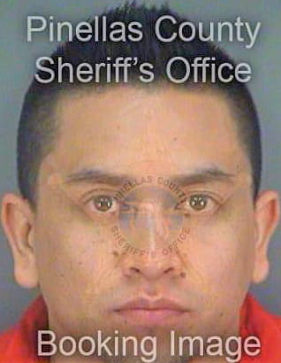 Hernandez Lauro - Pinellas County, FL 