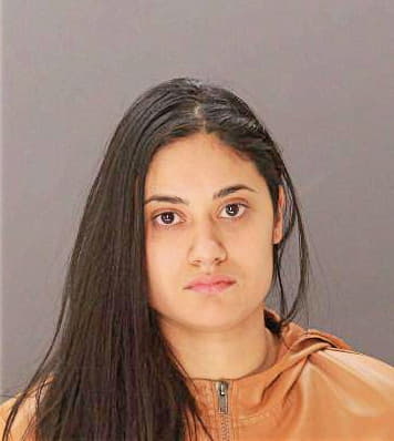Delapaz Leslie - Dallas County, TX 