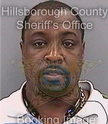 Simmons Michael - Hillsborough County, FL 