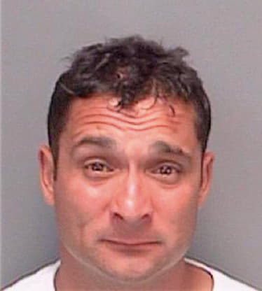 Warbrick James - Pinellas County, FL 