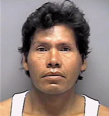 Timoco Jose - Lee County, FL 