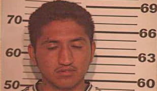 Garcia Julio - Hidalgo County, TX 