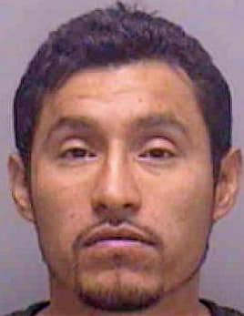 Martinez-Hernandez Julio - Lee County, FL 