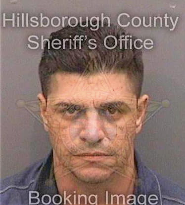 Vazquezvazquez Pedro - Hillsborough County, FL 
