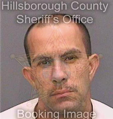 Garrido David - Hillsborough County, FL 