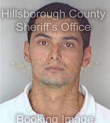 Valencia Jose - Hillsborough County, FL 