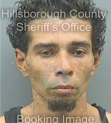 Sanchezcolon Omar - Hillsborough County, FL 