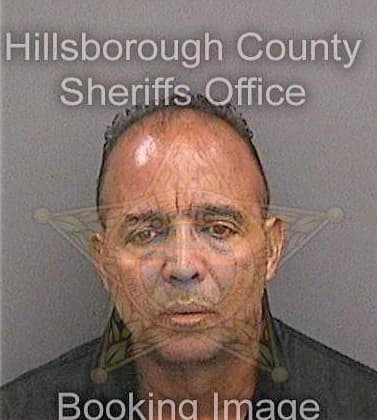 Sanchez Ademar - Hillsborough County, FL 