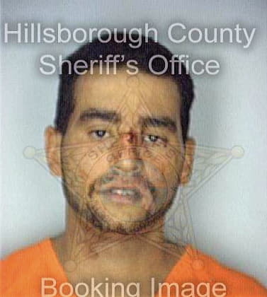 Melendez Anibal - Hillsborough County, FL 