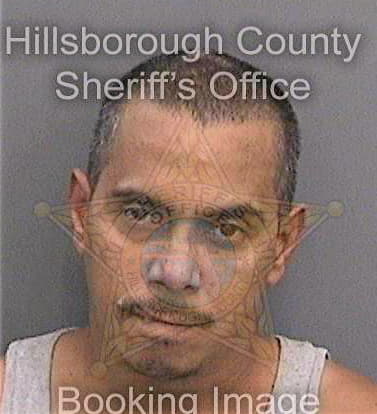 Pedroza Miguel - Hillsborough County, FL 