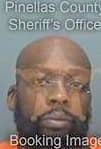 Sharp Willie - Pinellas County, FL 