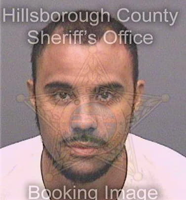 Martinez Wilfredo - Hillsborough County, FL 