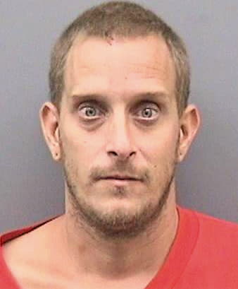 Decristi Daniel - Hillsborough County, FL 