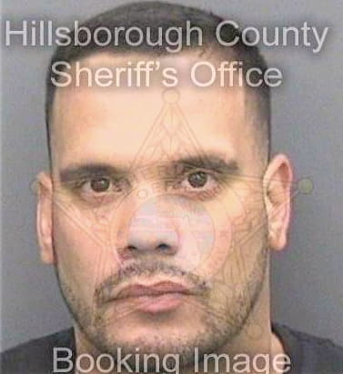 Echevarriaramirez Jose - Hillsborough County, FL 