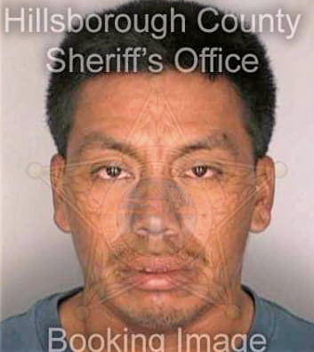 Mendez Odilon - Hillsborough County, FL 