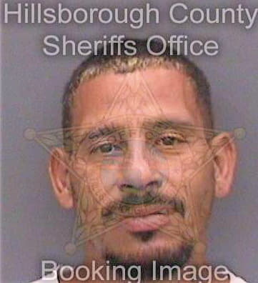 Rodriguez Christopher - Hillsborough County, FL 