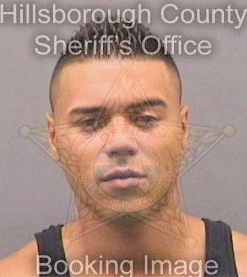 Cuevas Josue - Hillsborough County, FL 