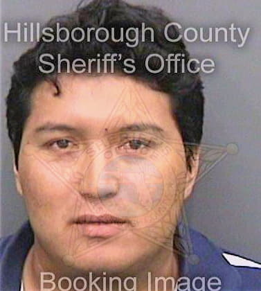 Fernandezpinto Isaias - Hillsborough County, FL 