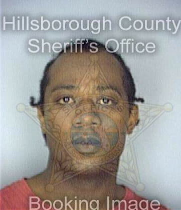 Blount Tommy - Hillsborough County, FL 