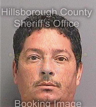 Gonzalez David - Hillsborough County, FL 